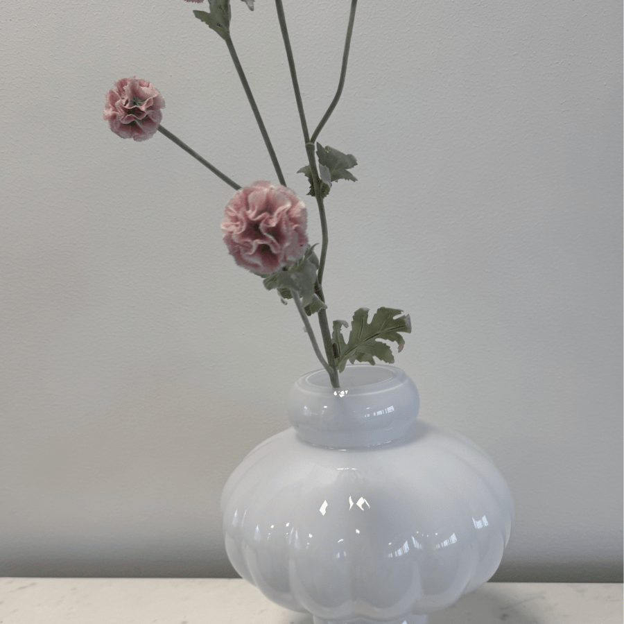 Scabiosa Pink - Bellavé Studio