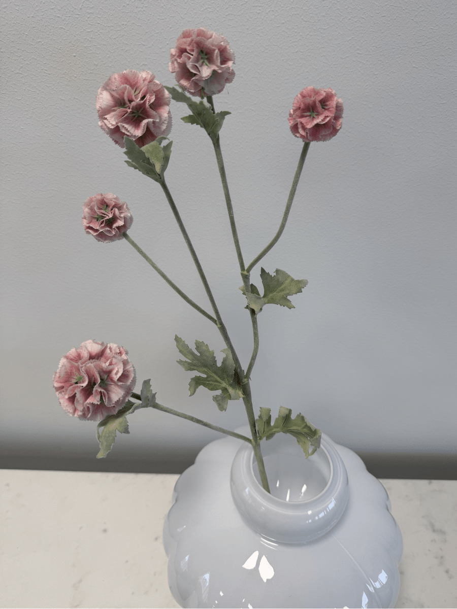 Scabiosa Pink - Bellavé Studio