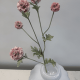 Scabiosa Pink - Bellavé Studio
