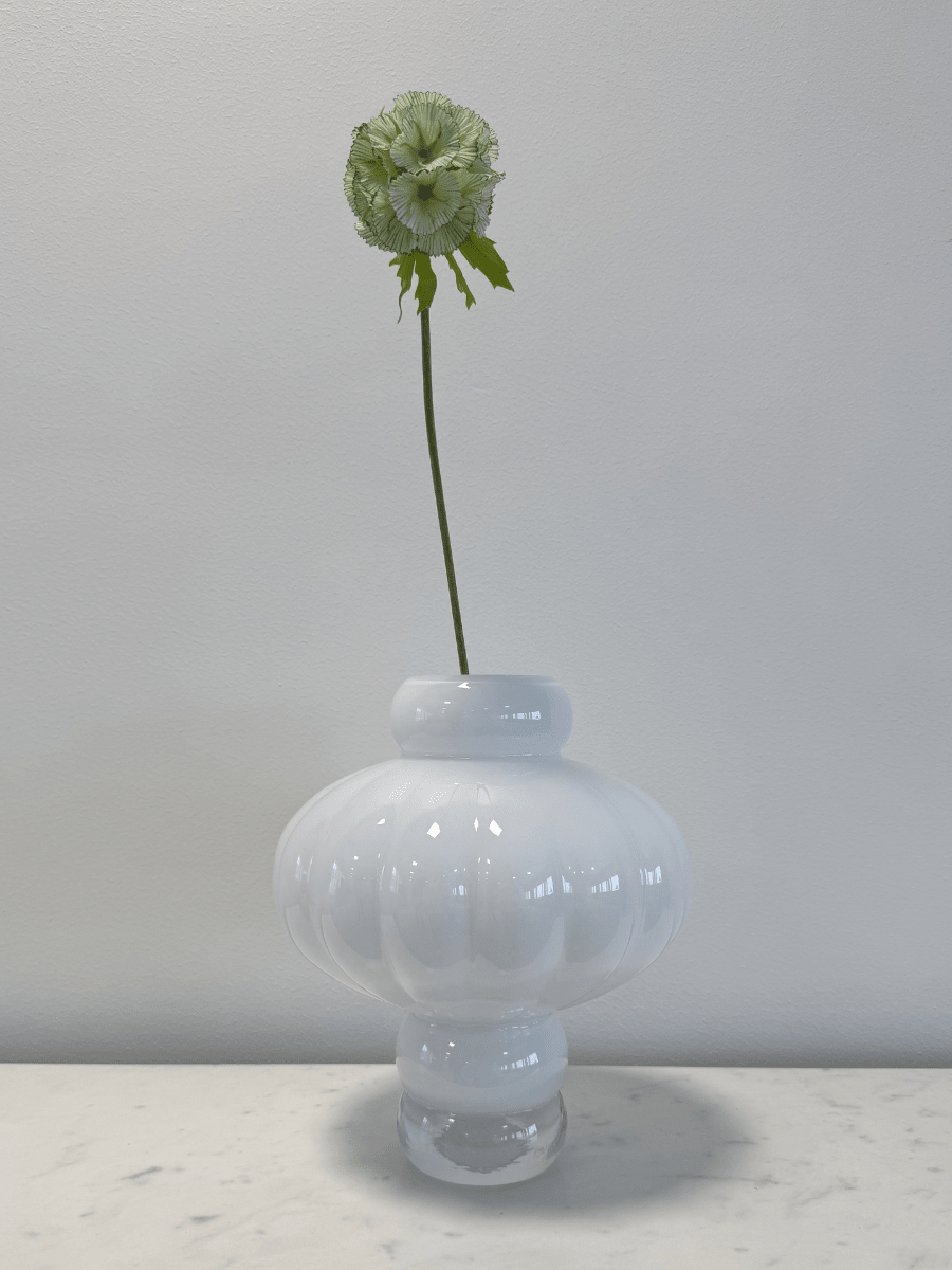 Scabiosa Seed Pod Light Green - Bellavé Studio