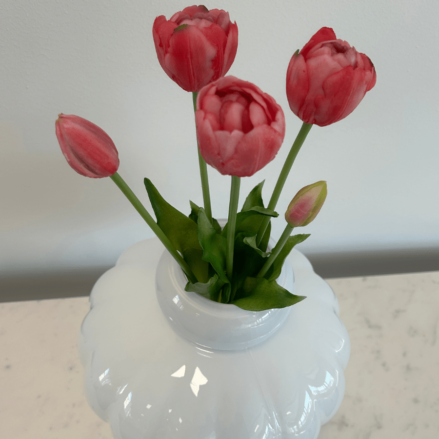 Tulips Dark Pink Bouquet 5 pcs - Bellavé Studio