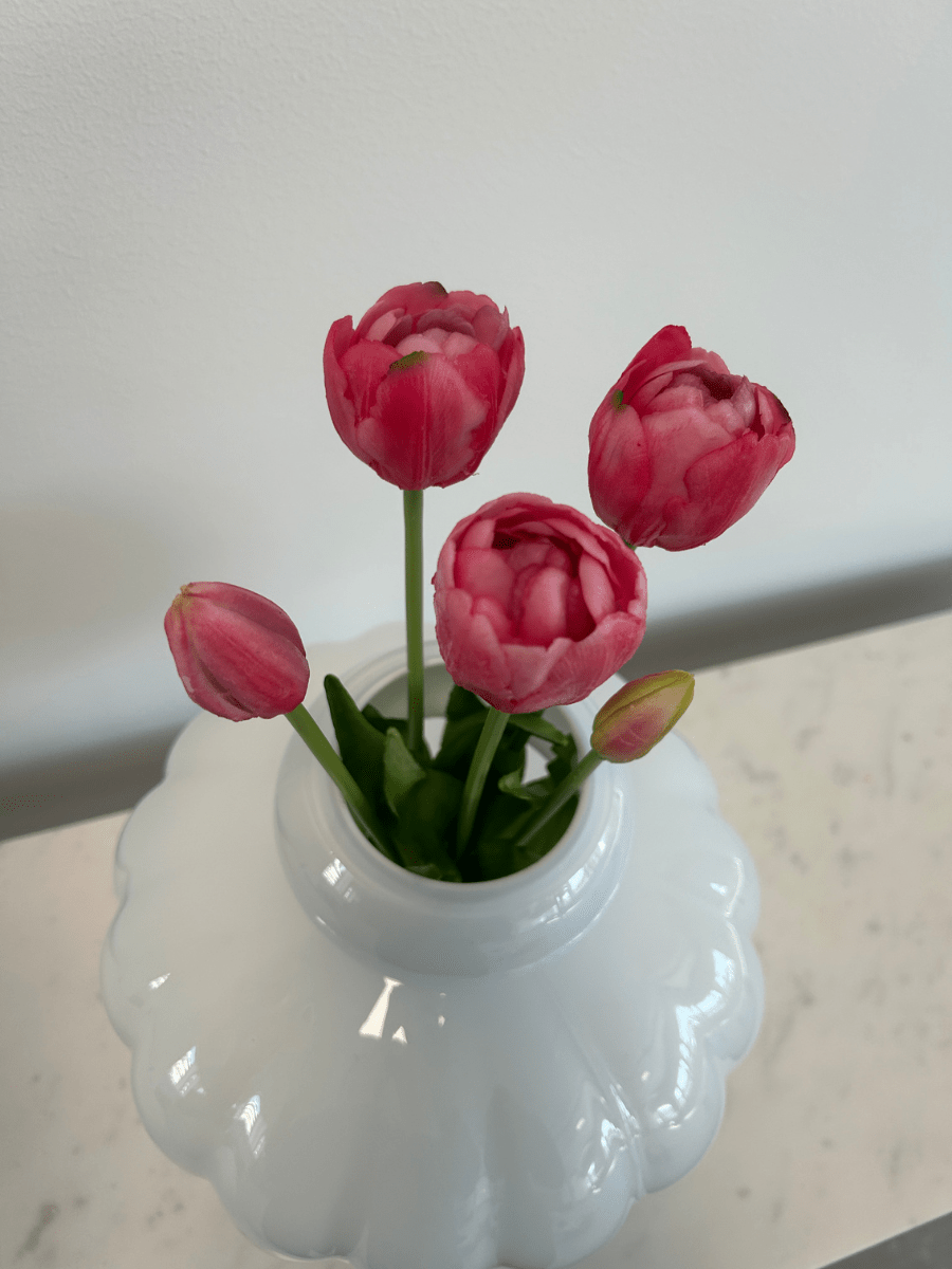 Tulips Dark Pink Bouquet 5 pcs - Bellavé Studio