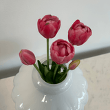 Tulips Dark Pink Bouquet 5 pcs - Bellavé Studio