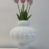 Tulips Light Pink Bouquet 5 pcs - Bellavé Studio