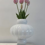 Tulips Light Pink Bouquet 5 pcs - Bellavé Studio