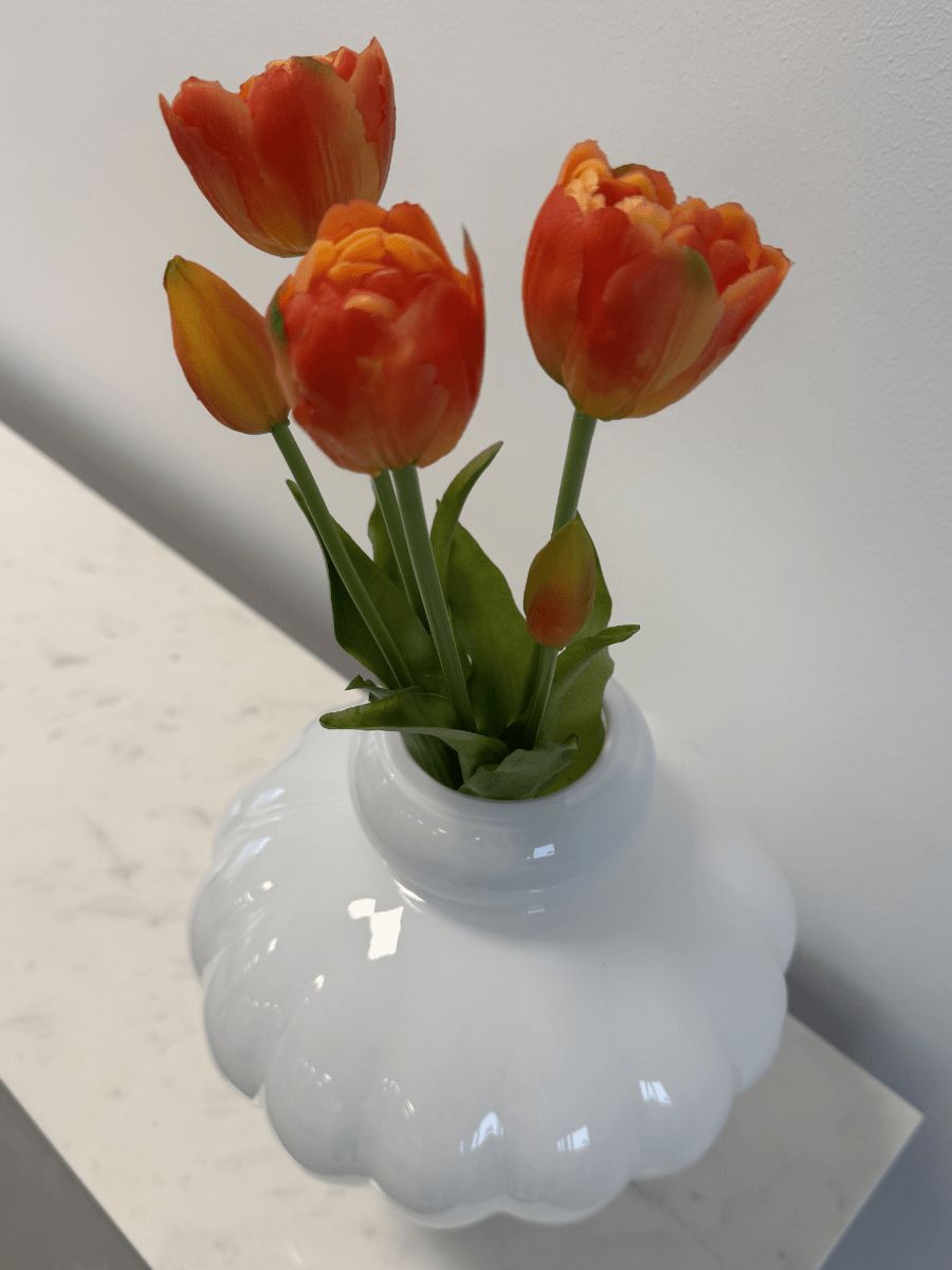 Tulips Orange Bouquet 5 pcs - Bellavé Studio