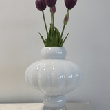 Tulips Purple Bouquet 5 pcs - Bellavé Studio