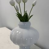 Tulips White Bouquet 5 pcs - Bellavé Studio