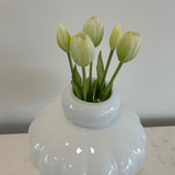 Tulips White Green Bouquet 5 pcs - Bellavé Studio