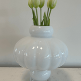 Tulips White Green Bouquet 5 pcs - Bellavé Studio
