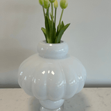Tulips White Green Bouquet 5 pcs - Bellavé Studio