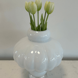 Tulips White Green Bouquet 5 pcs - Bellavé Studio