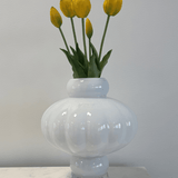 Tulips Yellow Bouquet 5 pcs - Bellavé Studio