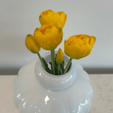 Tulips Yellow Bouquet 5 pcs - Bellavé Studio
