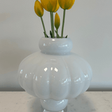 Tulips Yellow Bouquet 5 pcs - Bellavé Studio
