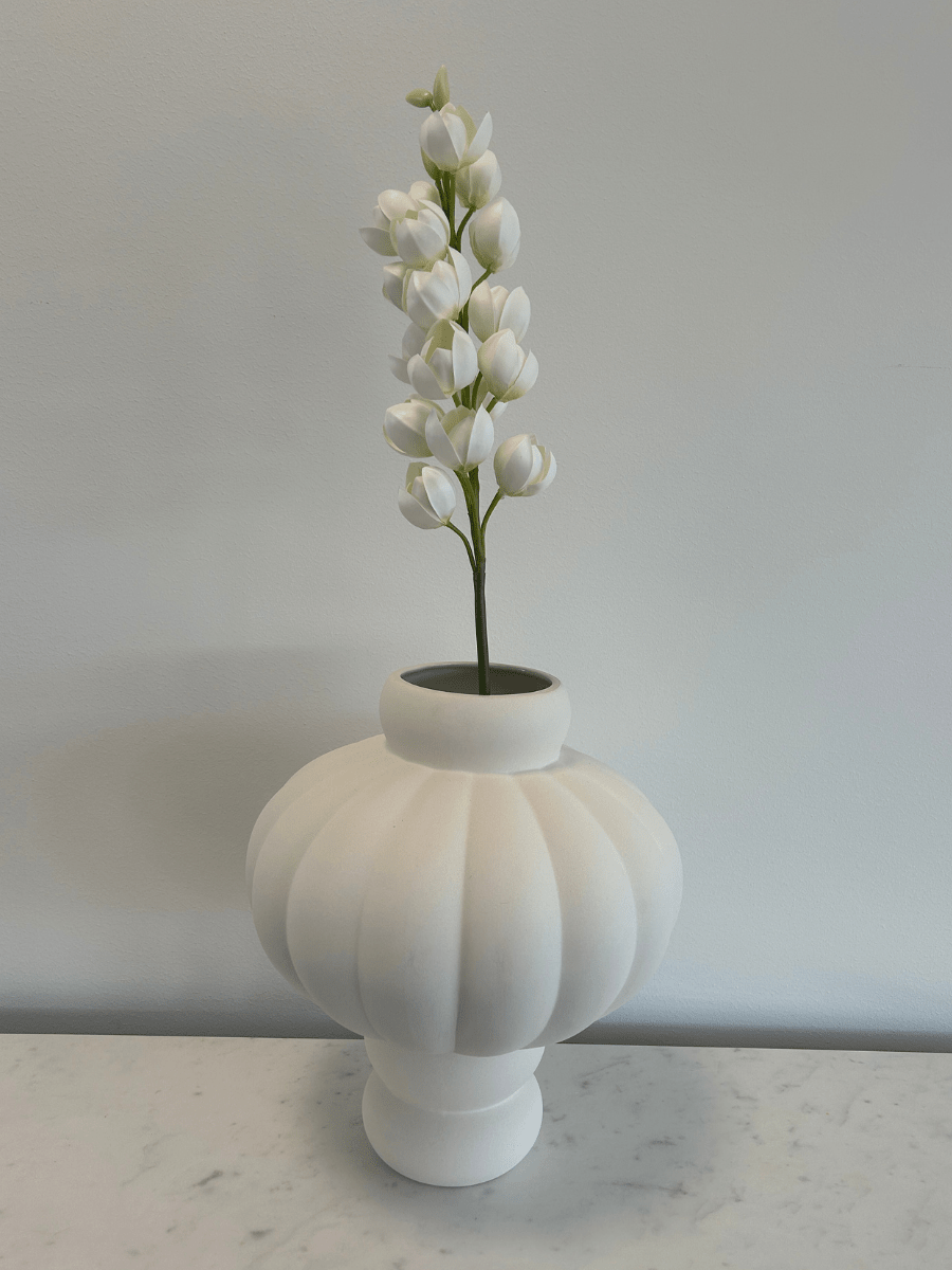 Yucca Gloriosa - Bellavé Studio