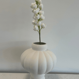Yucca Gloriosa - Bellavé Studio