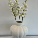 Yucca Gloriosa - Bellavé Studio