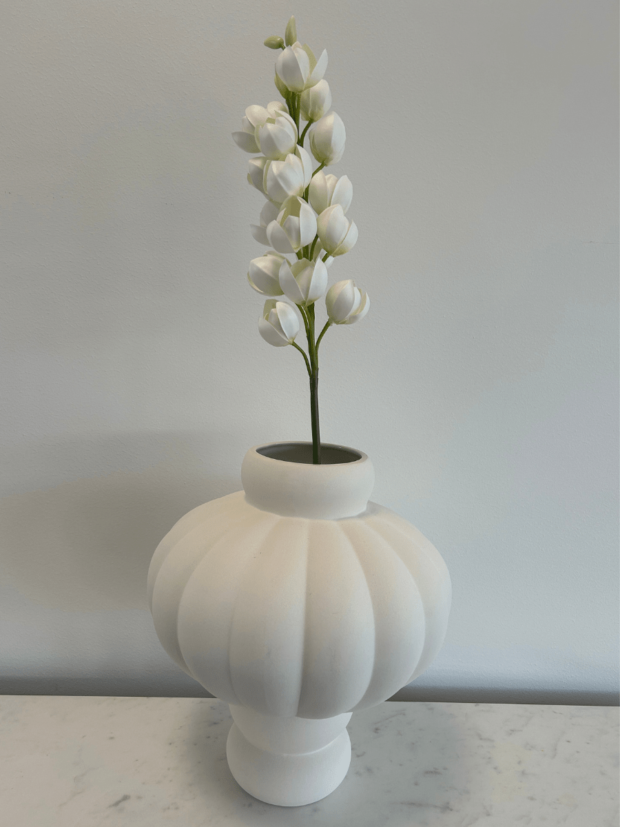 Yucca Gloriosa - Bellavé Studio