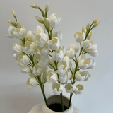 Yucca Gloriosa Bouquet - Bellavé Studio