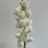 Yucca Gloriosa Bouquet - Bellavé Studio